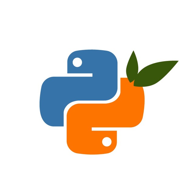 Logotipo de Python Valencia